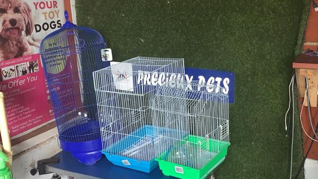 3 Different Size of Parrots Cages · Photo 4
