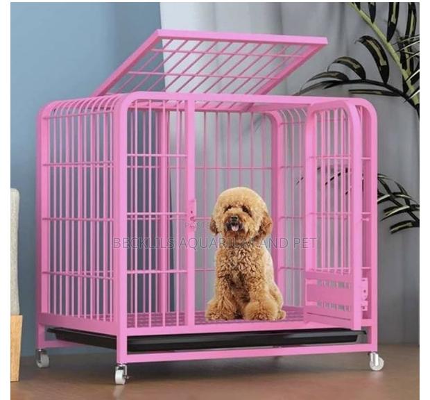 Heavy Dirty Pink Spacious Cage · Photo 2