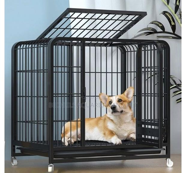 Heavy Duty Blank Maltese Cage · Photo 2