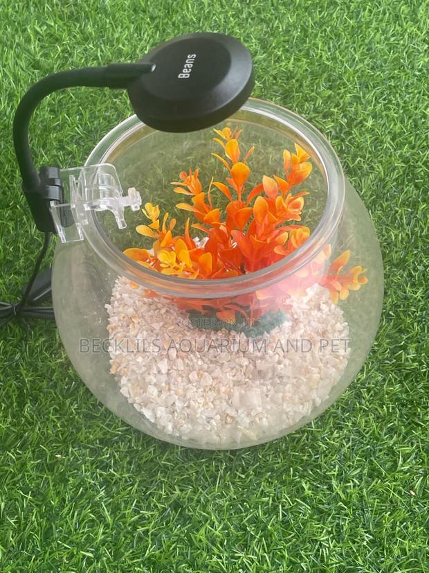 Package Plastic Fishbowl