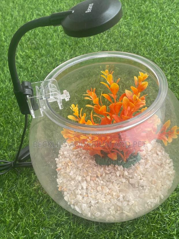 Package Plastic Fishbowl