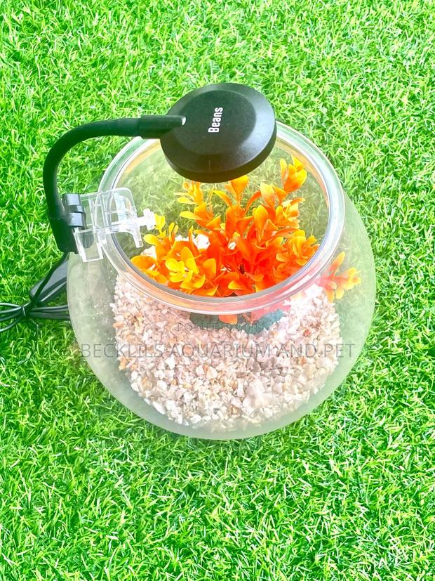 Package Plastic Fishbowl