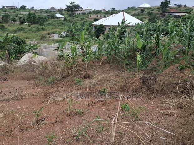 Half Plot of Land for Sale in Sokoban Konkorl · Photo 4