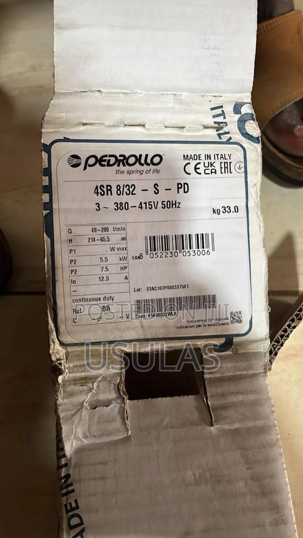 Water Pump Pedrollo Borehole Pump photo 3