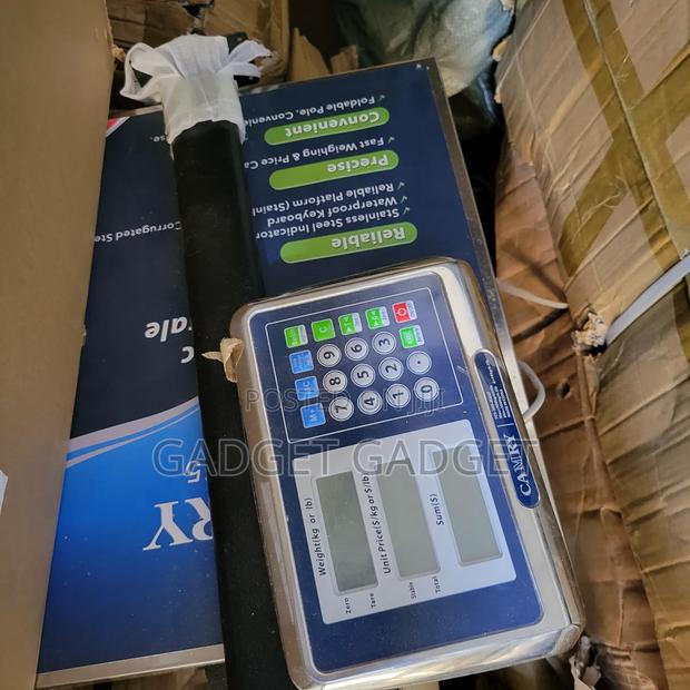 Professional Platform Scale//Camry 300kg photo 2