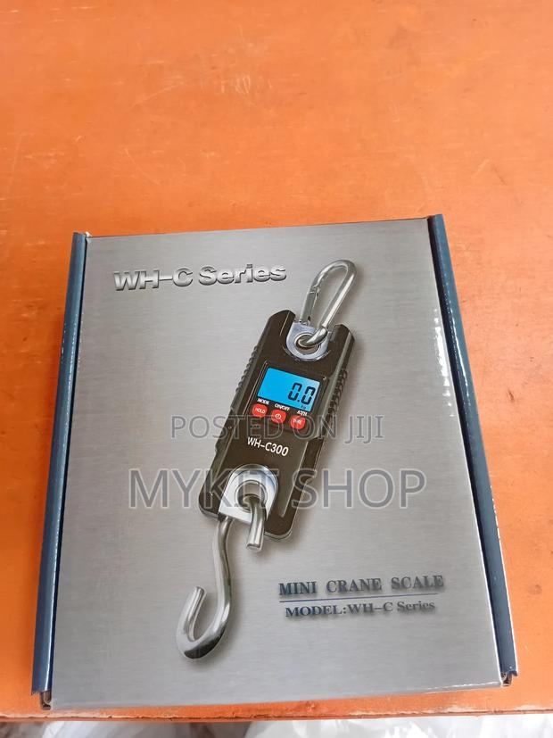 Mini Crane Scales 300kg · Photo 3