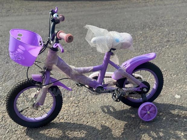 Beautiful Bike photo 2