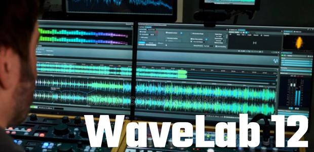 Waveslab Pro 12 for Mac or Windows · Photo 4