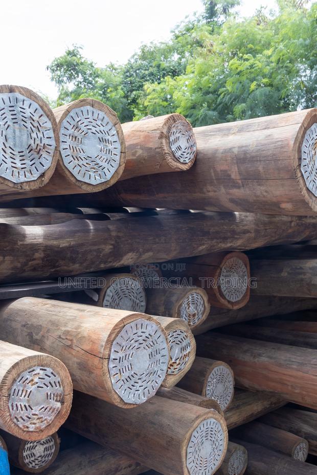 Treated Light Poles 8 Meters · Photo 4