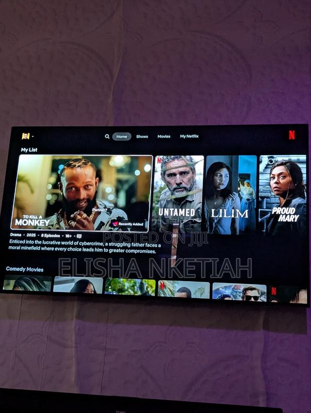 Netflix Premium Account 1 Screen 12 Months