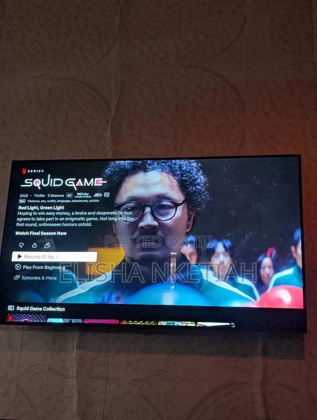 Netflix Premium Account 1 Screen 12 Months photo 2