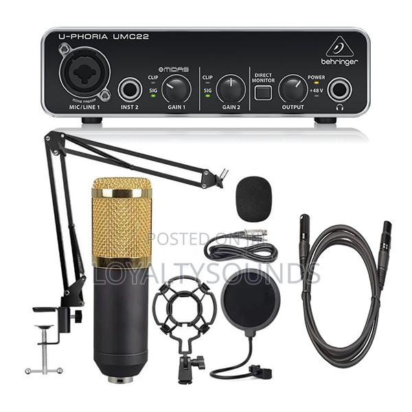 Bm800 Condenser Mic With Behringer Umc22 · Photo 2