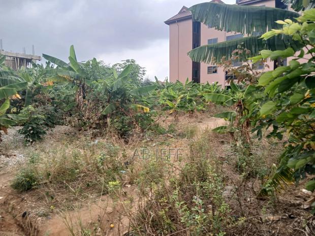 Plot of Land at Ipt · Photo 3