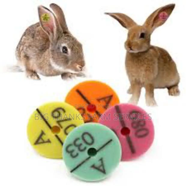 Rabbit Tags · Photo 2