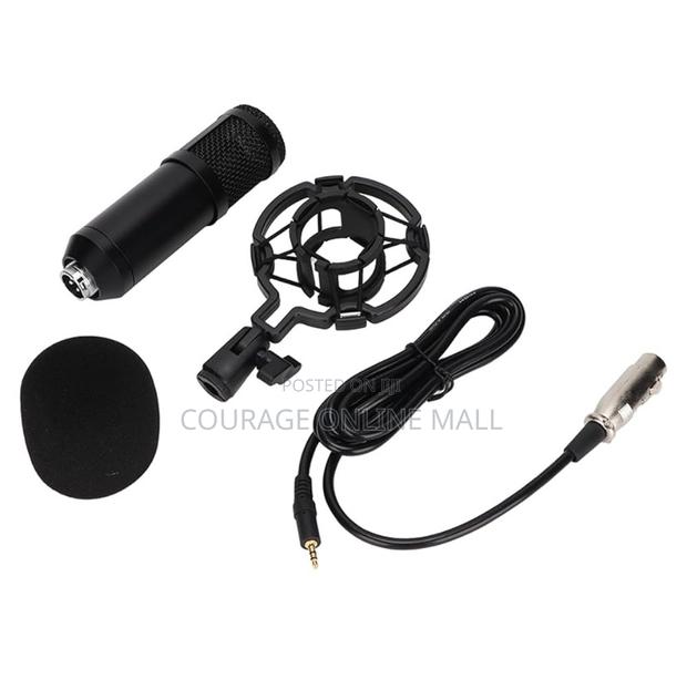 Bm800 Professional Microphone Condenser