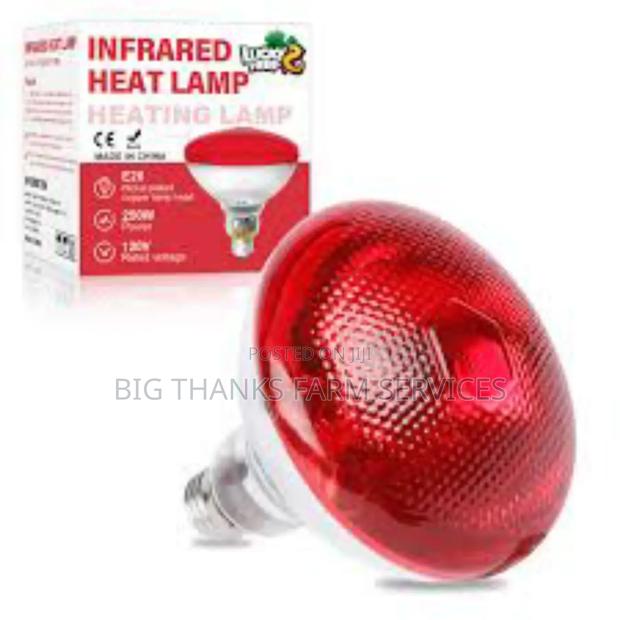 Heater Lamps,250w · Photo 2