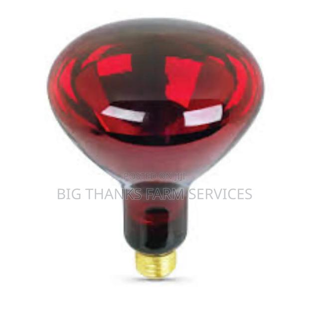200w Brooder Lamps · Photo 2
