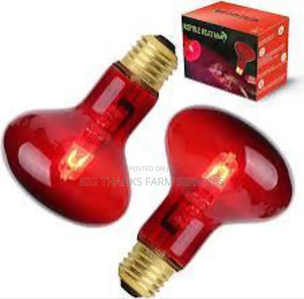 250w Brooder Lamps · Photo 2