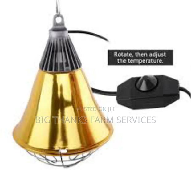 Brooder Lamps& Assessories · Photo 3