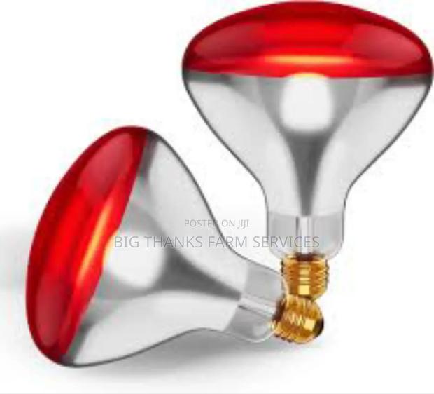 Brooder Lamps& Assessories · Photo 4