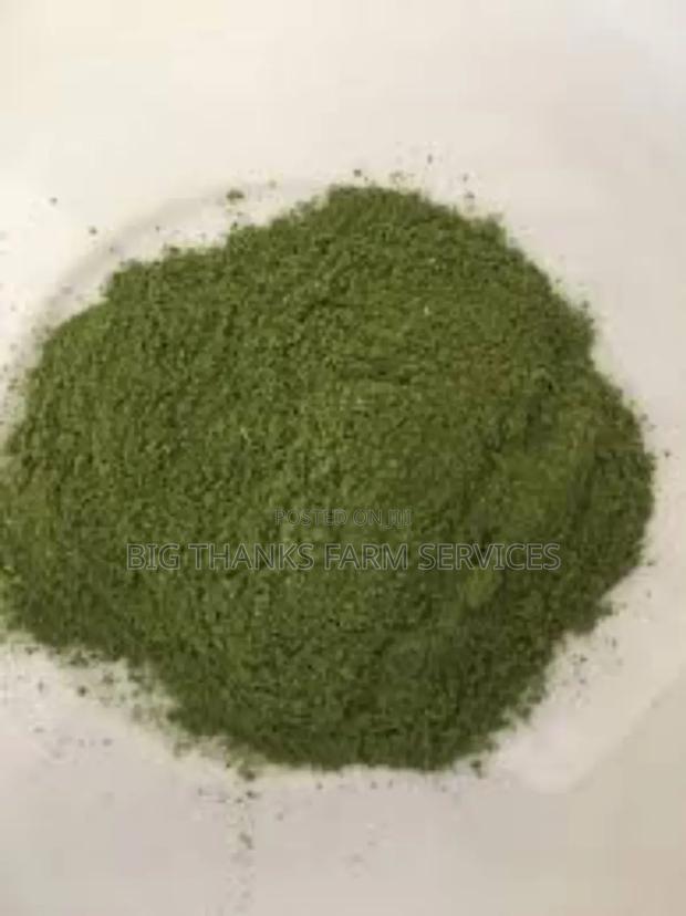 Moringa Leaf Powder,Bulk · Photo 2
