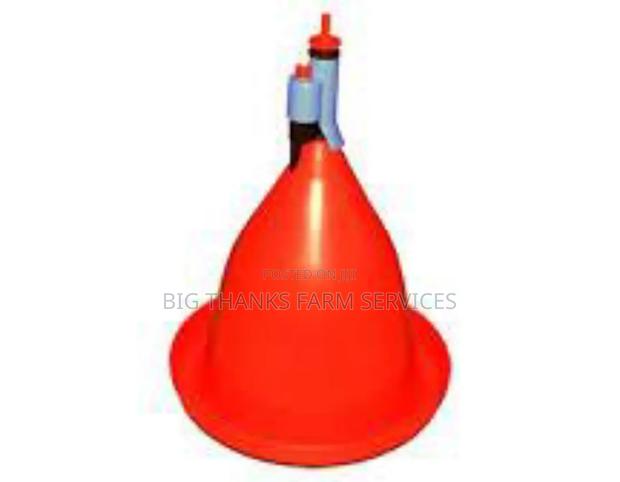 Jumbo Bell Drinkers · Photo 2