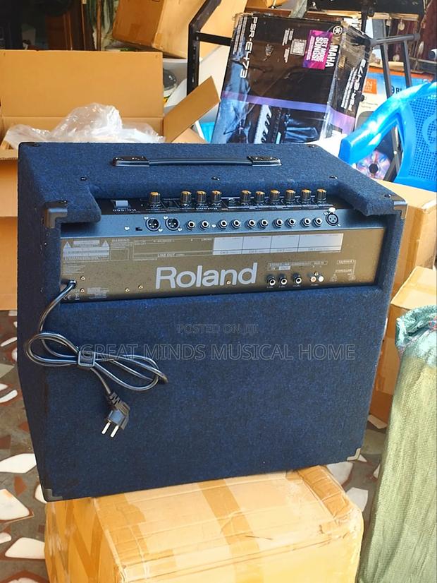 Roland Kc 550 Professional Keyboard Combo · Photo 4