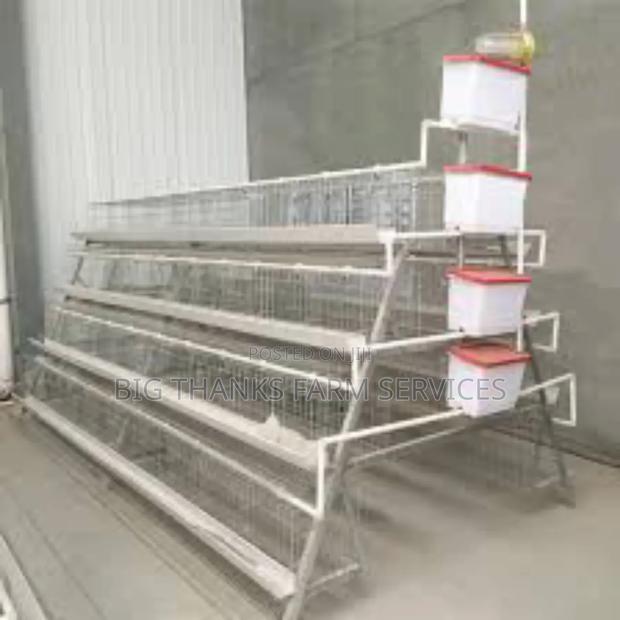 Poultry Battery Cages,120 Capacity · Photo 2
