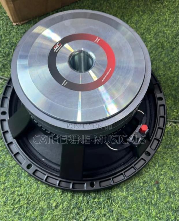 Jac 12-Inches Double Magnet Naked Speaker 2000 Watt · Photo 4