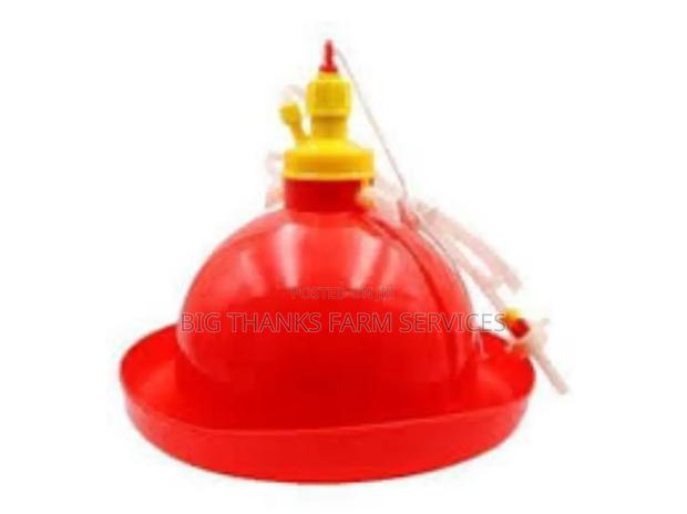 Small Bell Drinkers · Photo 3