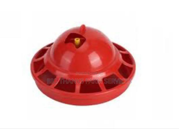 Small Bell Drinkers · Photo 4