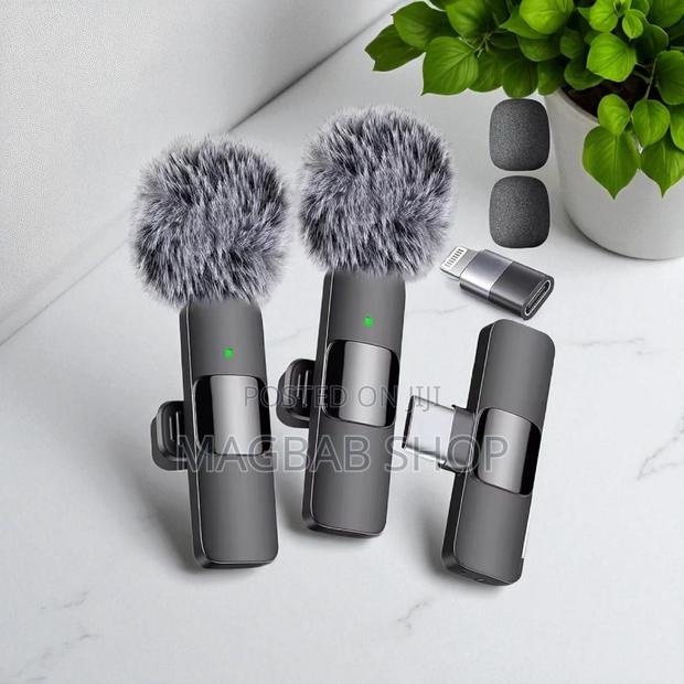 All in 1 Wireless Microphone (21522)