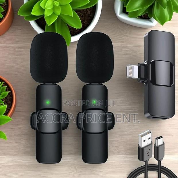 2 in 1 Wireless Microphone(443264)