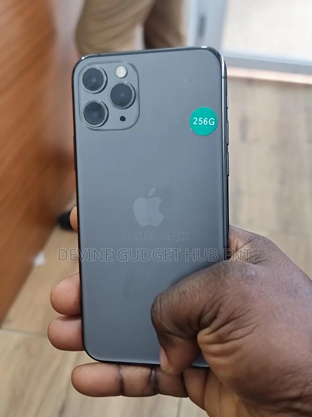 Apple iPhone 11 Pro 256 GB Gray photo 2