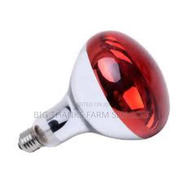 200w Poultry Brooder Lamps · Photo 2