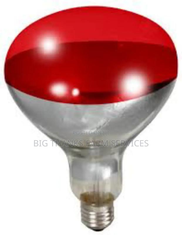250w Brooder Lamps · Photo 2