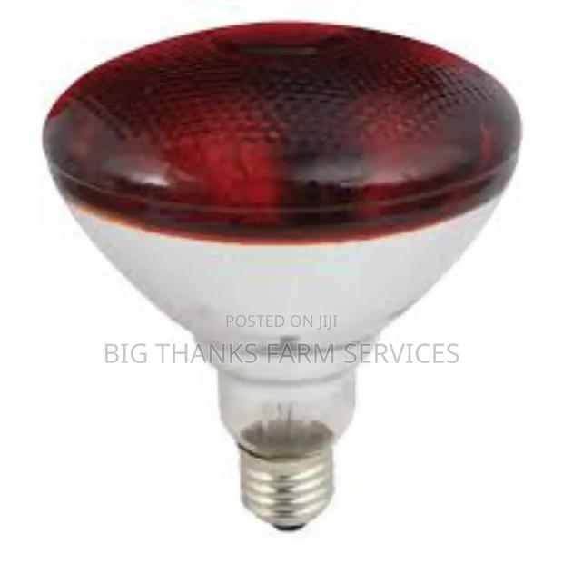 275w Brooder Lamps · Photo 2