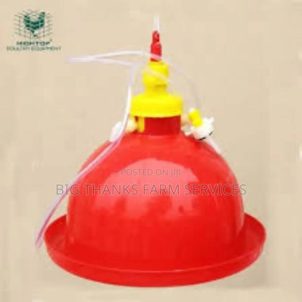 Bell Drinkers,Small Size · Photo 2