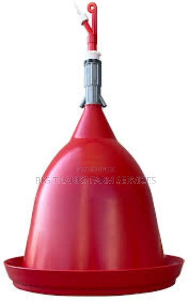 Jumbo Bell Drinkers · Photo 2