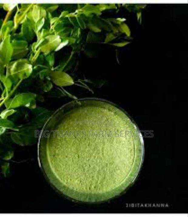 Moringa Concentrate For Animals Feed · Photo 3