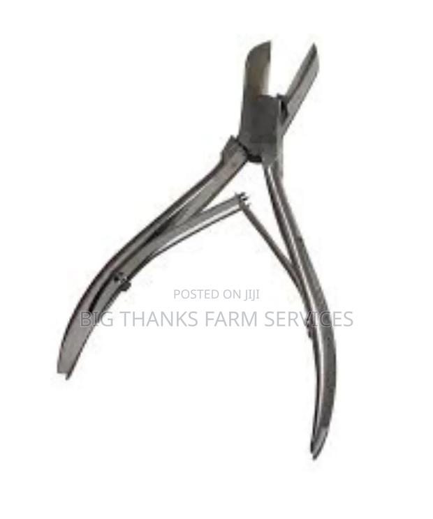 Pig Tooth Cutting Pliers · Photo 2