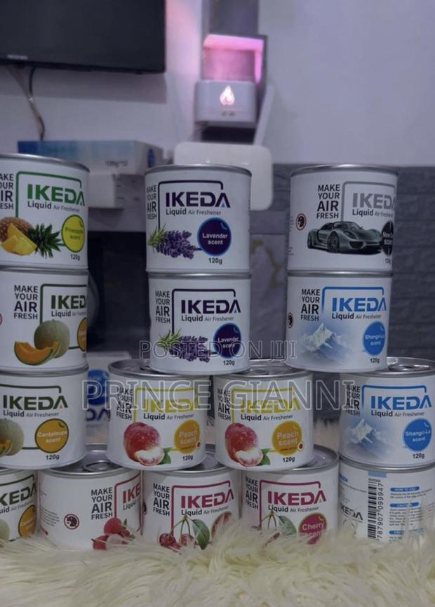 Ikeda Diffuser · Photo 2