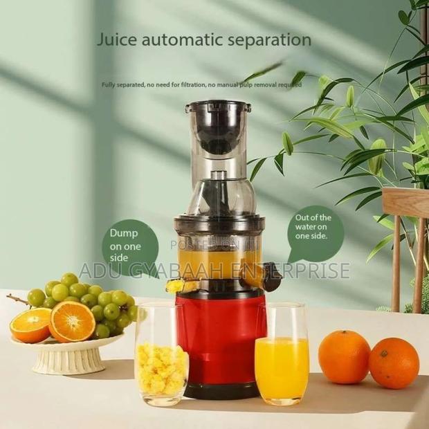 German Commercial Juicer photo 2