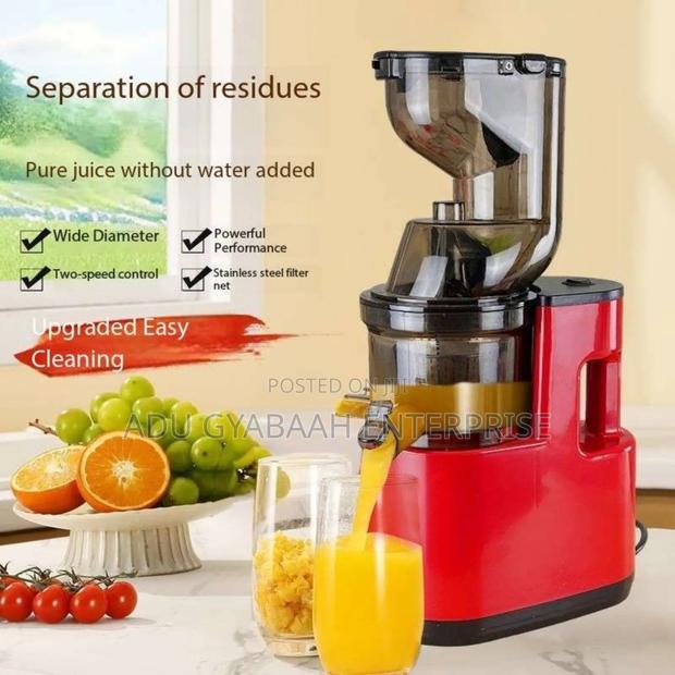 German Commercial Juicer photo 3