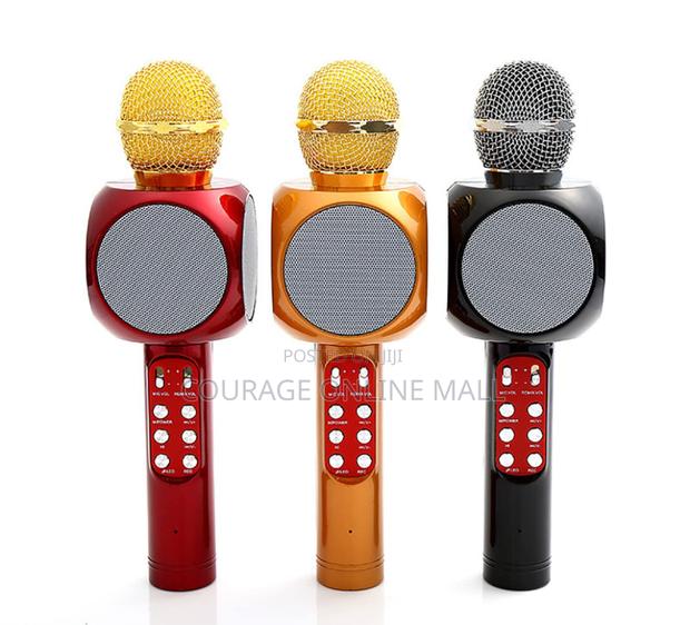 Portable Karaoke Microphone With Speaker For Home/Envagelism