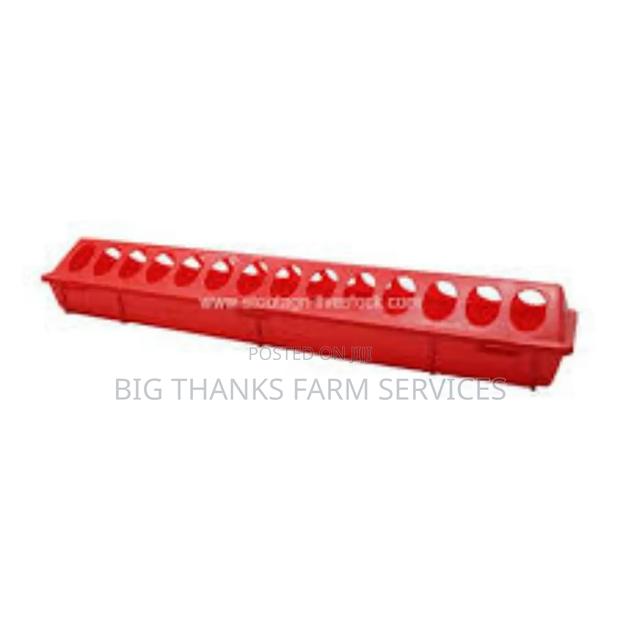 Chick Feeders, 28 Entries · Photo 2