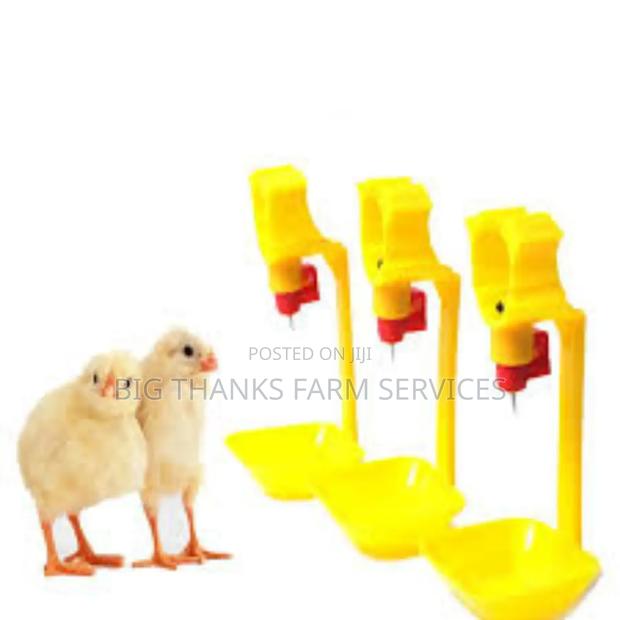 Automatic Chicken Drinkers, Yellow · Photo 2