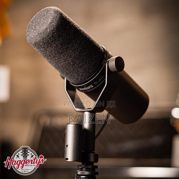 Professional Microphone photo 2