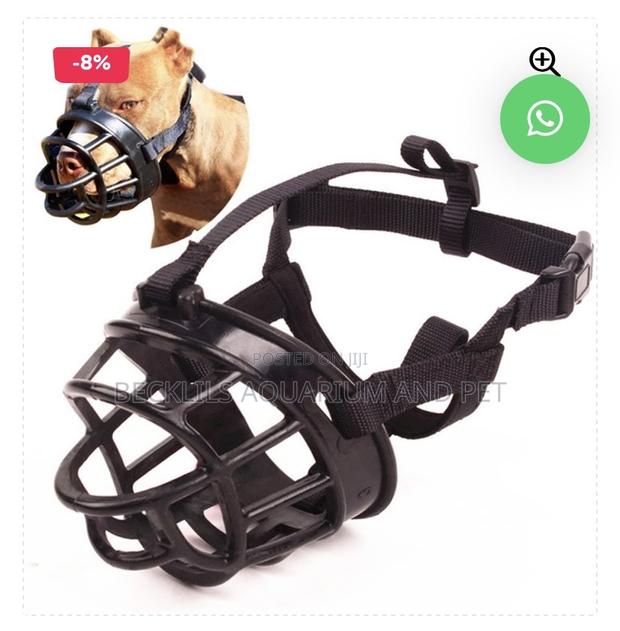 Big Dog Muzzle · Photo 2
