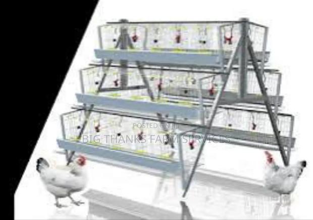 160 Bird Capacity Cages · Photo 2